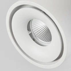 Plafonnier Laonsana LED Noir, Blanc, 2 lumières