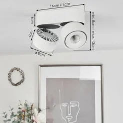 Plafonnier Laonsana LED Noir, Blanc, 2 lumières