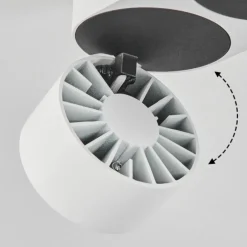 Plafonnier Laonsana LED Noir, Blanc, 2 lumières