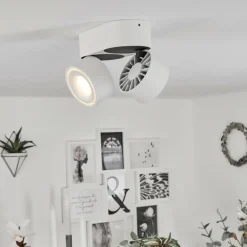 Plafonnier Laonsana LED Noir, Blanc, 2 lumières