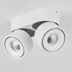 Plafonnier Laonsana LED Noir, Blanc, 2 lumières