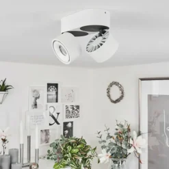 Plafonnier Laonsana LED Noir, Blanc, 2 lumières