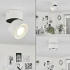 Plafonnier Laonsana LED Noir, Blanc, 1 lumière