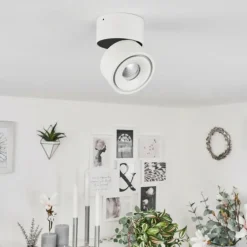 Plafonnier Laonsana LED Noir, Blanc, 1 lumière