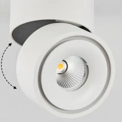 Plafonnier Laonsana LED Noir, Blanc, 1 lumière