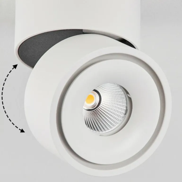 Plafonnier Laonsana LED Noir, Blanc, 1 lumière