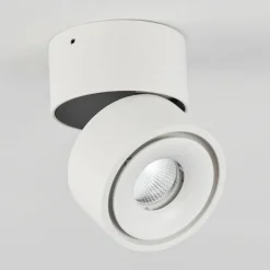 Plafonnier Laonsana LED Noir, Blanc, 1 lumière