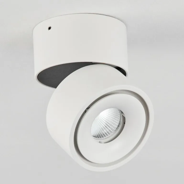 Plafonnier Laonsana LED Noir, Blanc, 1 lumière
