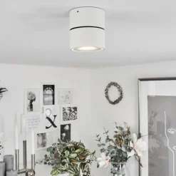 Plafonnier Laonsana LED Noir, Blanc, 1 lumière