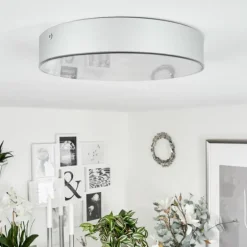 Plafonnier Mentque LED Argenté, 1 lumière