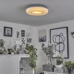 Plafonnier Monfebres LED Argenté, Blanc, 1 lumière, Télécommandes, Changeur de couleurs