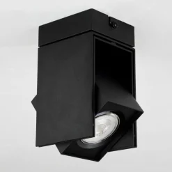 Plafonnier Prassinet Noir, 1 lumière