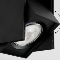 Plafonnier Prassinet Noir, 2 lumières