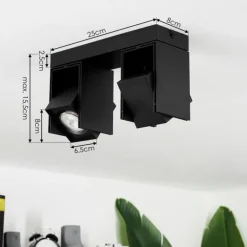 Plafonnier Prassinet Noir, 2 lumières