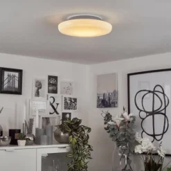 Plafonnier Ral LED Argenté, Blanc, 1 lumière, Télécommandes, Changeur de couleurs