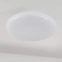 Plafonnier Ral LED Argenté, Blanc, 1 lumière, Télécommandes, Changeur de couleurs