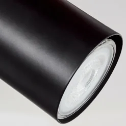 Plafonnier Sequeira LED Bois clair, Couleur bois, Noir, 2 lumières