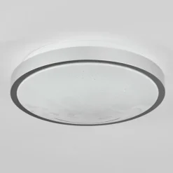 Plafonnier Subles LED Argenté, Blanc, 1 lumière, Détecteur de mouvement