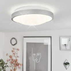 Plafonnier Subles LED Argenté, Blanc, 1 lumière, Détecteur de mouvement