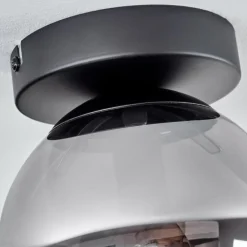 Plafonnier - Verre Gastor Fumé, 1 lumière