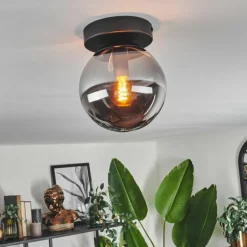 Plafonnier - Verre Gastor Fumé, 1 lumière