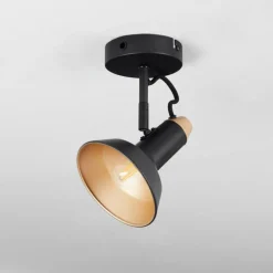 Plafonnier Vouzy Noir, 1 lumière