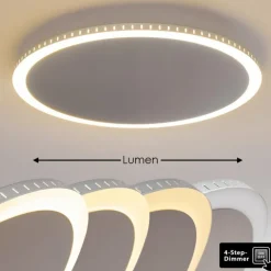 Plafonnier Aitrach LED Argenté, Blanc, 1 lumière