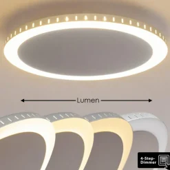 Plafonnier Aitrach LED Argenté, 1 lumière