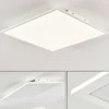 Plafonnier Antria LED Blanc, 1 lumière