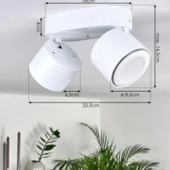 Plafonnier Appleton LED Blanc, 2 lumières