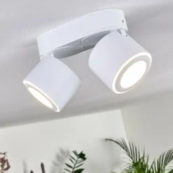 Plafonnier Appleton LED Blanc, 2 lumières