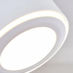 Plafonnier Appleton LED Blanc, 2 lumières