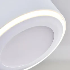 Plafonnier Appleton LED Blanc, 2 lumières