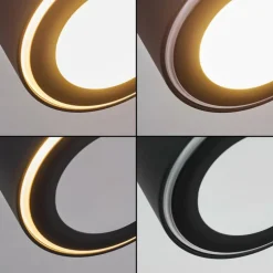 Plafonnier Appleton LED Noir, 2 lumières