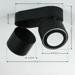 Plafonnier Appleton LED Noir, 2 lumières