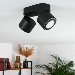 Plafonnier Appleton LED Noir, 2 lumières