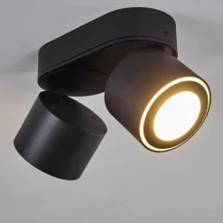 Plafonnier Appleton LED Noir, 2 lumières