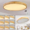 Plafonnier Bagaha LED Brun, Couleur bois, 1 lumière, Télécommandes