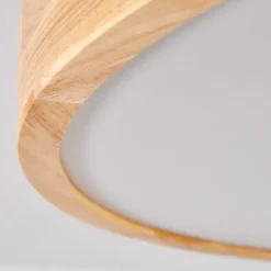 Plafonnier Bagaha LED Brun, Couleur bois, 1 lumière, Télécommandes