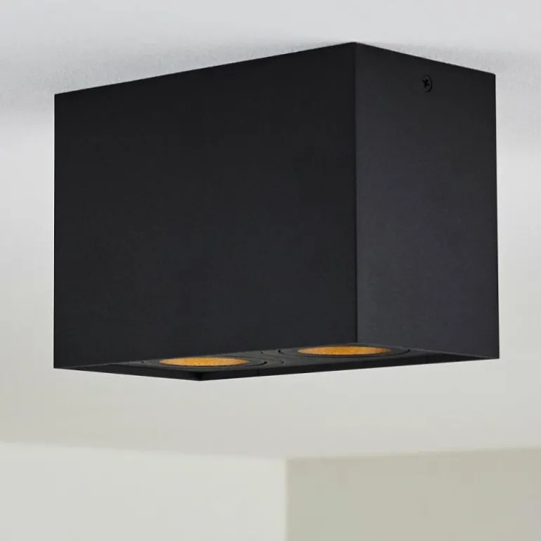 Plafonnier Baishan Noir, 2 lumières