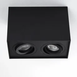 Plafonnier Baishan Noir, 2 lumières