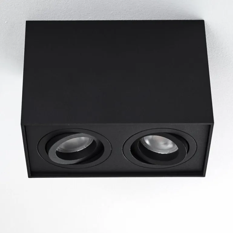 Plafonnier Baishan Noir, 2 lumières