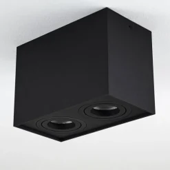 Plafonnier Baishan Noir, 2 lumières