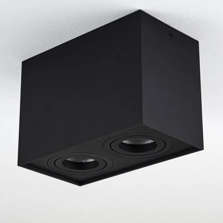 Plafonnier Baishan Noir, 2 lumières