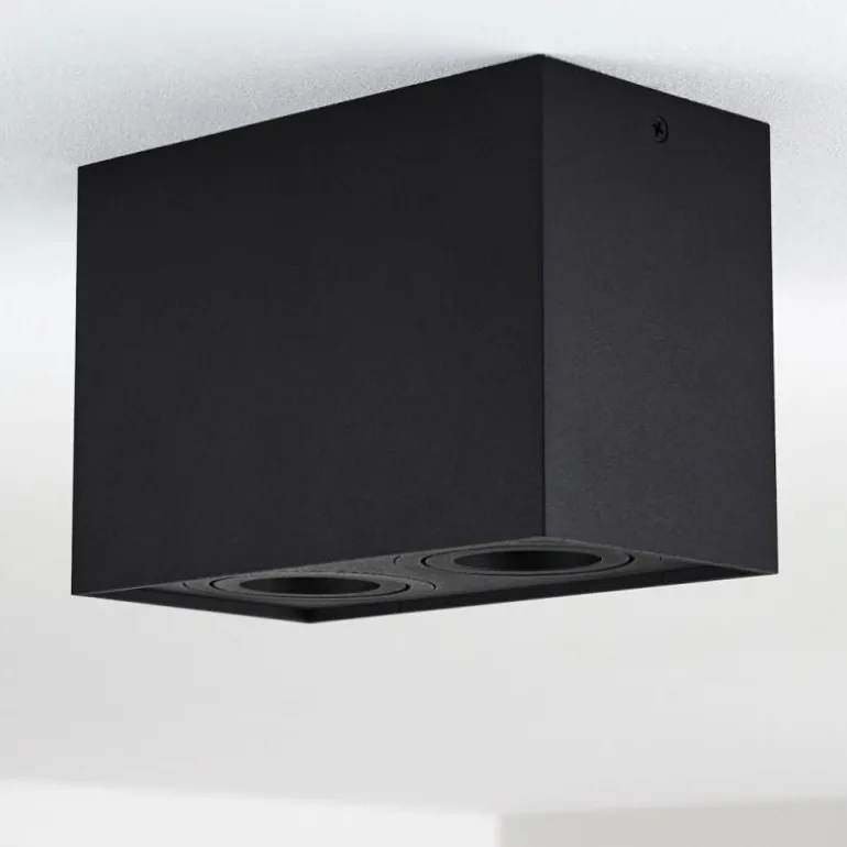 Plafonnier Baishan Noir, 2 lumières