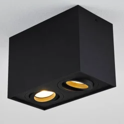 Plafonnier Baishan Noir, 2 lumières