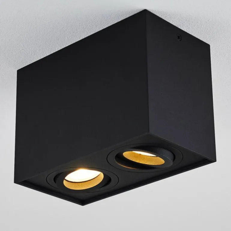 Plafonnier Baishan Noir, 2 lumières