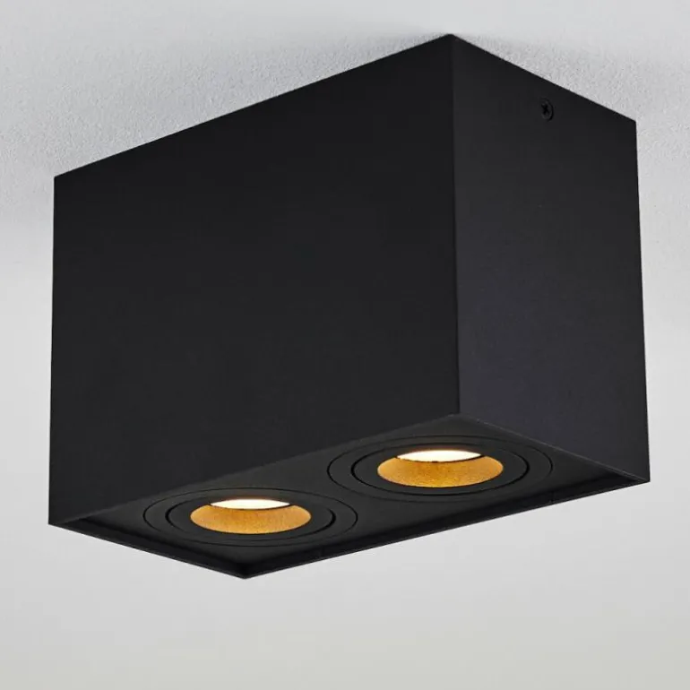 Plafonnier Baishan Noir, 2 lumières