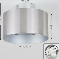 Plafonnier Baraboo LED Nickel mat, 2 lumières