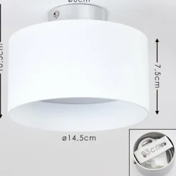 Plafonnier Baraboo LED Nickel mat, 2 lumières